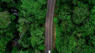 How To Capture Rainforest Photos On A Scenic Driving Trip From Bangalore To Agumbe