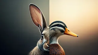 Rabbit or Duck? Your First Glance Reveals Your Emotional Style!