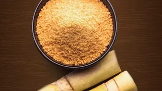 Bio Degradable Sugarcane Bagasse Offers Sustainable Alternative To Single Use Delivery Plastics
