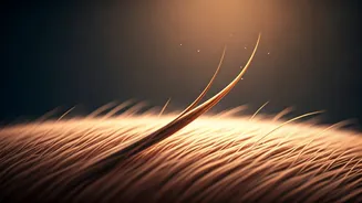 Your Hair Is Shedding Again—Here's The Reason