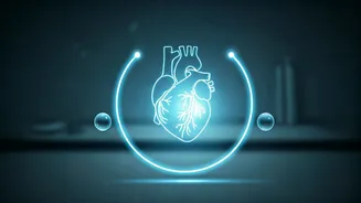 Master Your Blood Pressure: The Doctor-Approved 3-3-3 Formula for Simpler Management