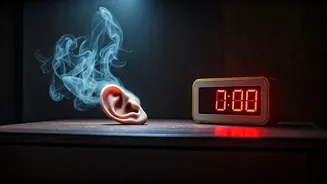 Burnout Blame Game: Is Chronic Exhaustion Really Caused by Lack of Sleep?