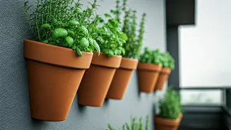 Vertical Terracotta Wall Pots Maximize Rainy-Season Balcony Herb Gardens