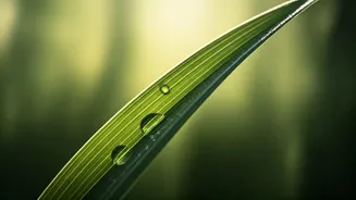 5 Daily Breathing Exercises for a Calmer, Focused You