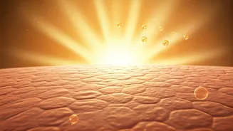 Decoding Sun-Kissed Skin's Secret: Why Vitamin D Levels Remain Low & How to Fix It