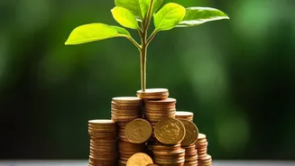 Build emergency funds with micro-investing
