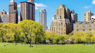 From Heat Relief to Community Life: The Many Roles of City Parks