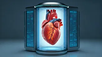 Unveiling Hidden Heart Risks: Advanced Tests You Need