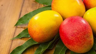 Late-Season Mangoes Gain Reach Through Faster Air Transport