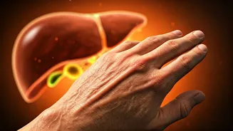 Liver Health: Signs in Your Hands & What They Mean