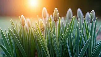 Related Stories banner