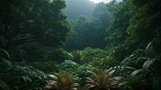 Rain-Light Escapes Are Perfect For Cautious Travellers