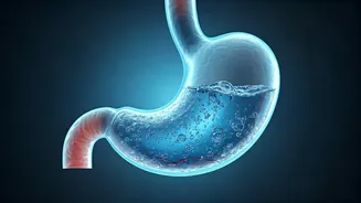 Hydration: How Fast Water Works