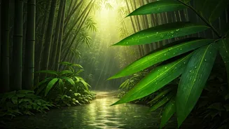 Rainy Season Makes Bamboo Rafting Even More Magical