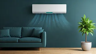 Dry Mode Makes Humid Rooms Feel Better