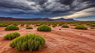 Atacama's Secrets: Life's Triumph in Extreme Aridity