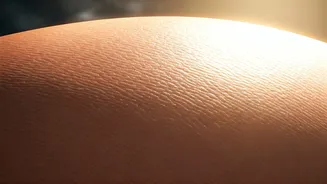 Climate Change's Hidden Impact: Protecting Your Indian Skin from UV, Pollution & Humidity