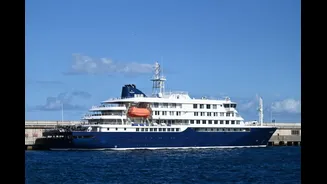 Canada Confirms First Hantavirus Case Linked To Outbreak On Cruise Ship