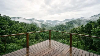 Why Monsoon Retreats In Wayanad Offer Amazing Rainforest Homestay Experiences