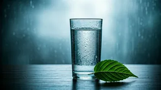 The Monsoon Hydration Mistake Many People Make