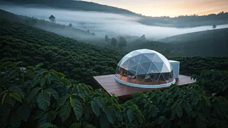 These Geodesic Domes Overlooking Misty Chikmagalur Farms Are Pure Magic