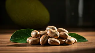 Your Leftover Game Needs Jackfruit Seed Energy
