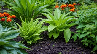Monsoon Gardening Is Basically Nature Helping You