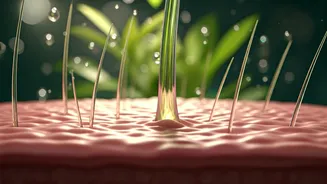 Want Better Hair? Start With Your Scalp