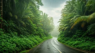 Kerala Trips Get Cheaper When The Rains Arrive