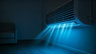 Bengaluru's Heatwave Hack: Hotel Room for AC Sparks Online Debate