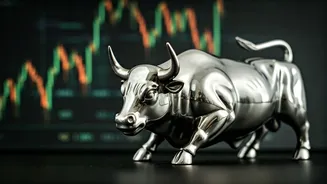 India's Stock Market Surge: What's Driving the Rally?