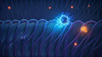 Immunotherapy's Dual Impact: Altering the Blood-Brain Barrier and Brain Metastasis Risk