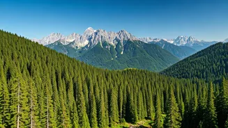 Breathe Easy: 5 Getaways for Clean Air Near Delhi