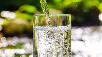 Why August Weather Demands Hydration Strategies Combining Minerals And Clean Water Intake Daily