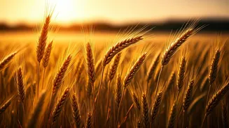 Happy Baisakhi 2026: Heartfelt Wishes, Messages & Quotes for Loved Ones