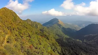 How Bengaluru Drivers Experience Early Winter Scenery Driving Through Western Ghats To Coorg