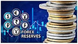 Forex Reserves Rise $4.37 Billion Upward, Shattering $693 Billion Barrier