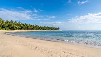 How High-Speed Wi-Fi Makes South Goa Stays Ideal For Long-Term Coastal Workations