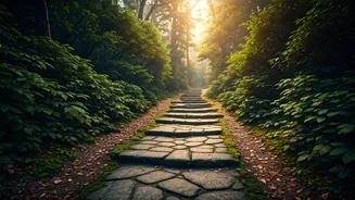 The Wisdom of the Long Way: Patience and Planning for True Efficiency