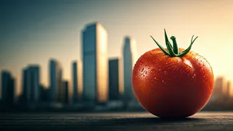 Organic Awakening: How Urban Living Detached Us from Nature's Bounty