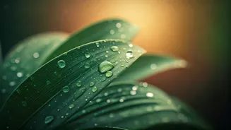 Monsoon Skincare Tips Dermatologists Actually Agree On