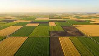 What Satellite Data Can Reveal About Crop Conditions