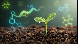 How modern amino acid absorption rates alter the math behind plant-based protein scales