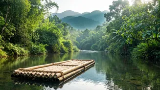 Post-Monsoon Wayanad Guide: Budget Homestays And Bamboo Rafting Trips From Bengaluru