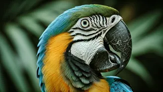 Parrots: Discover 8 Fun And Surprising Secrets
