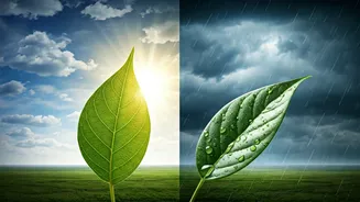 Can You Skip SPF During Monsoon?