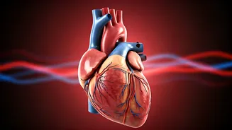 7 Ways Inactivity Impacts Your Health: Stay Active!