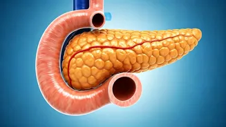 Reversing Diabetes: Your Guide to Health