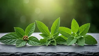 Related Stories banner