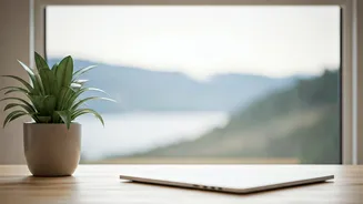 The Ultimate Guide To Understanding The Quiet Ambition Trend